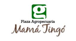Logo-Mama-Tingo