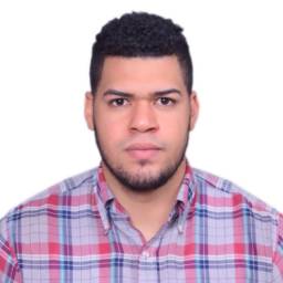 perfil