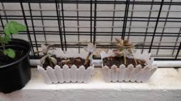 IMG-20230604-WA0000