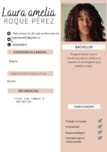 Copia-de-Curriculum-Vitae-Profesional-Minimalista-Pastel-_20240412_134739_0000
