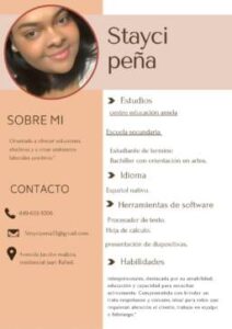 curriculum-vitae-CV-trabajo_20250105_150224_0000