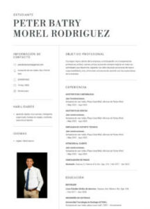 Cv.-Morel-org.pdf