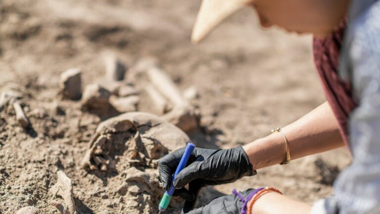 Antropólogo trabajando en piezas encontradas en una tierra antigua.