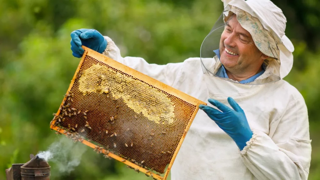 Apicultor sonriendo y sosteniendo un panel de abeja hacia el humo, para que se vayan las abejas.