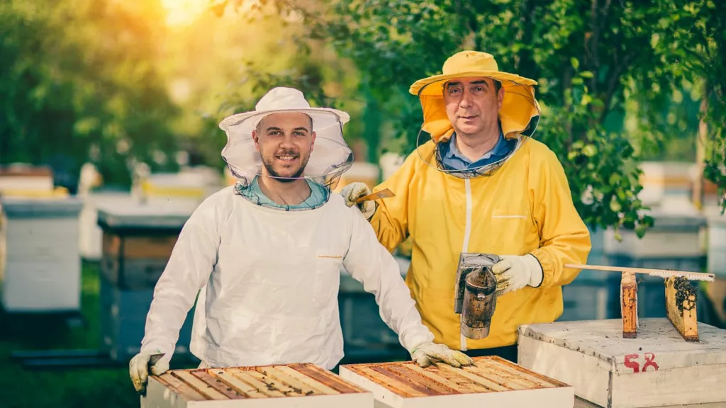 Dos apicultores trabajando en la granja de miel.