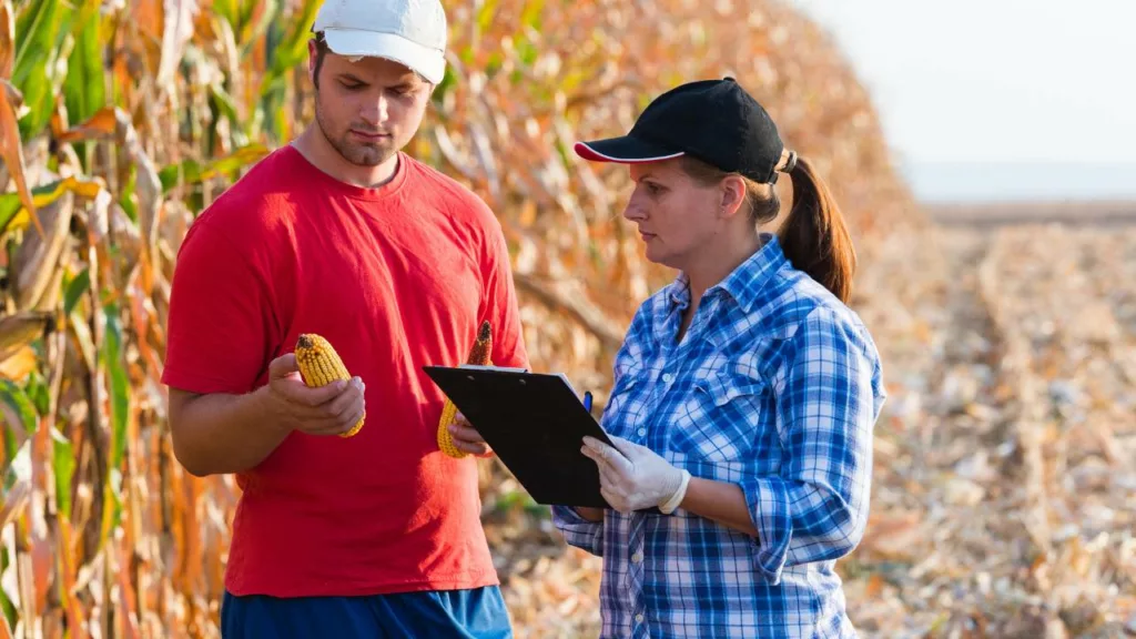 Agricultor analizando el estado de la cosecha junto a su compañera de trabajo.