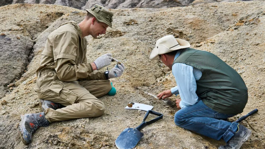 Antropólogos estudiando rocas antiguas de una civilización.