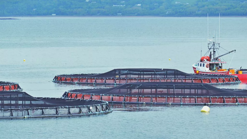 Barco junto a instalaciones donde el acuicultor trabaja.
