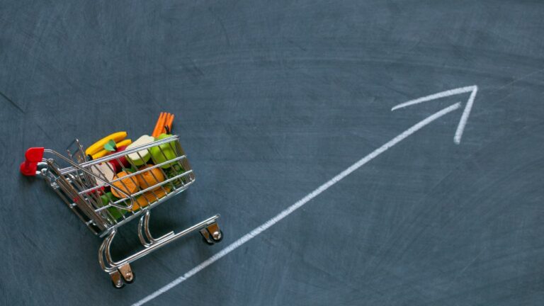 Carrito de supermercado con comida, ilustrando un alza cuando suben los precios.